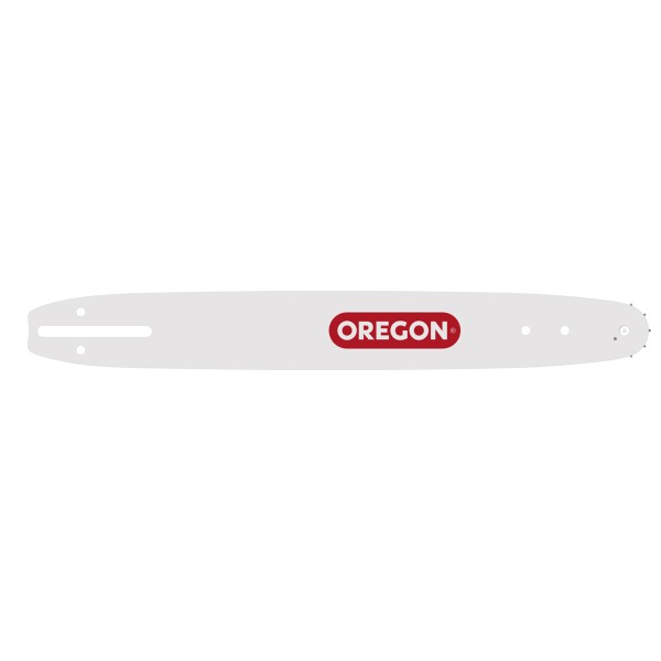 Oregon Führungsschiene 25cm 3/8" 1.3 mm Double Guard® 91 - 100SDEA041