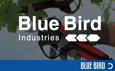 Akku-Welt von Blue Bird